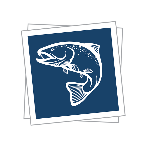 Square Decal Stickers