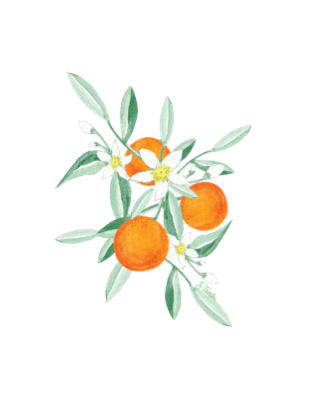 ORANGE BLOSSOM - TOWEL
