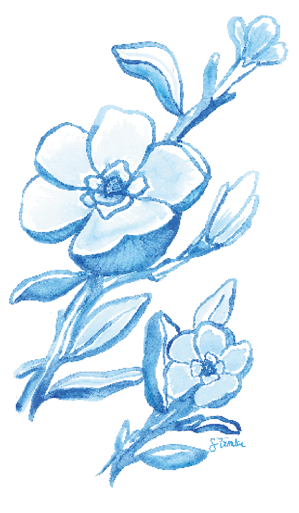 BLUE MAGNOLIA - TOWEL