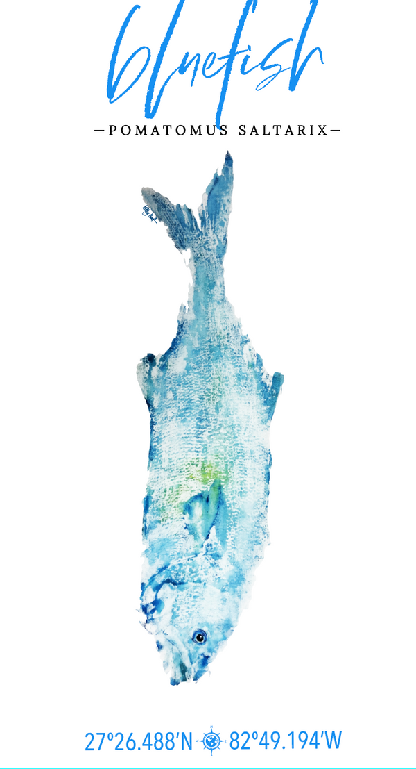 CHARTED WATERS - TOWEL PRINTING